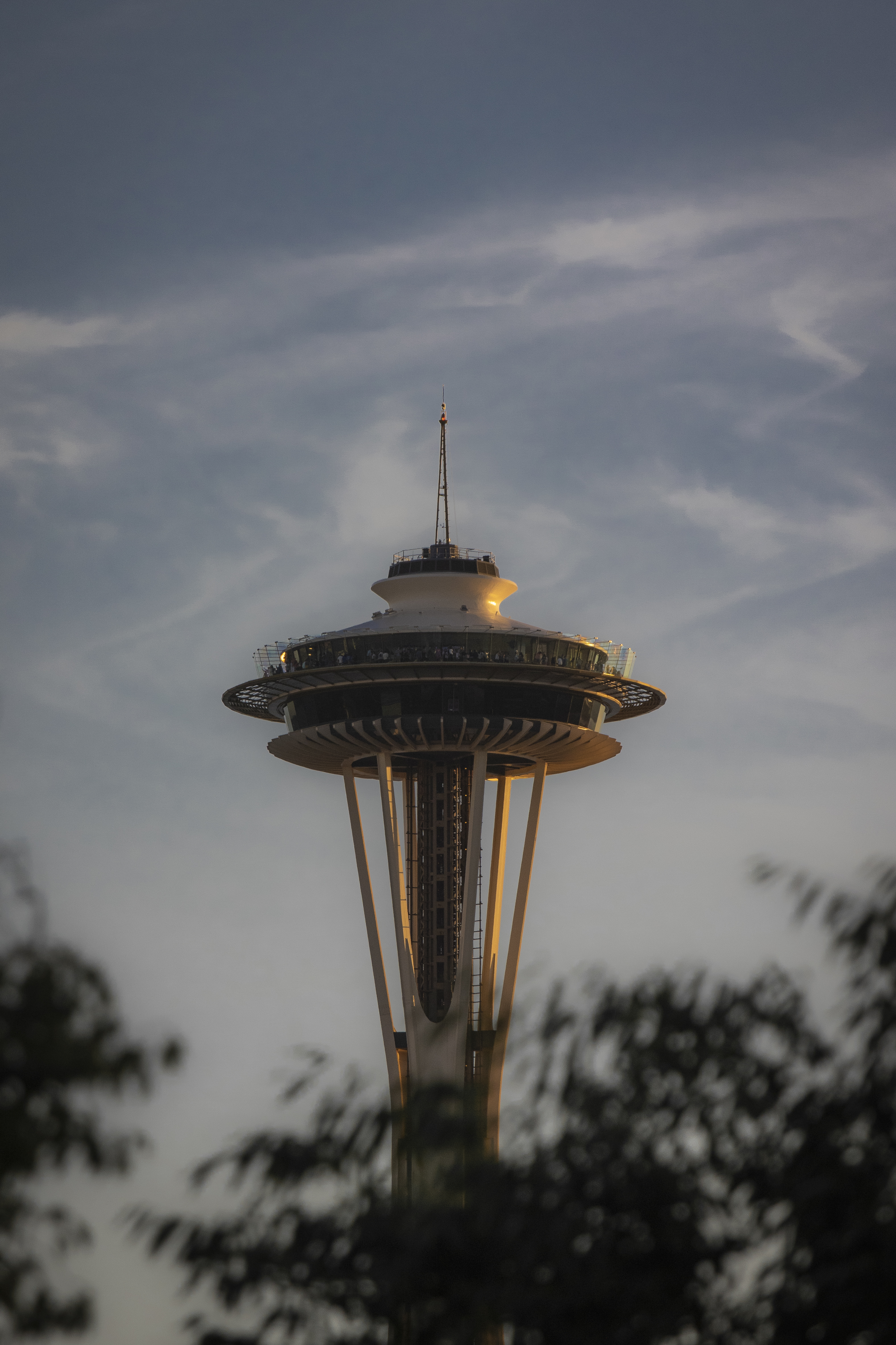 Wispy Needle